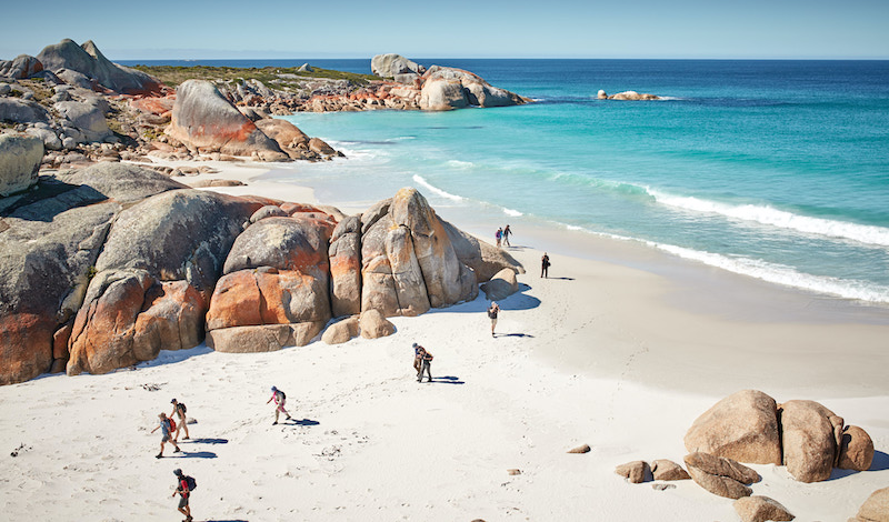 The terrain on the Bay of Fires walk, featuring a beach with white sand and granite boulders. 