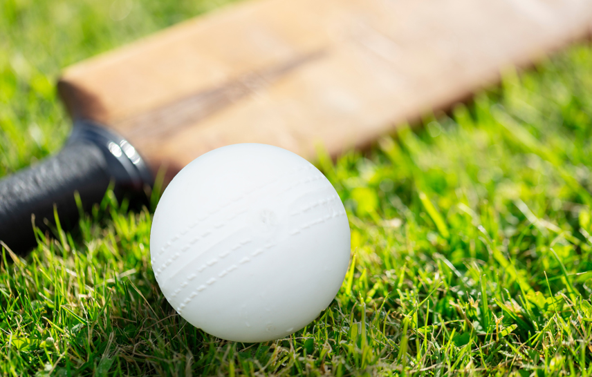 White audible cricket ball on grass next to cricket bat.