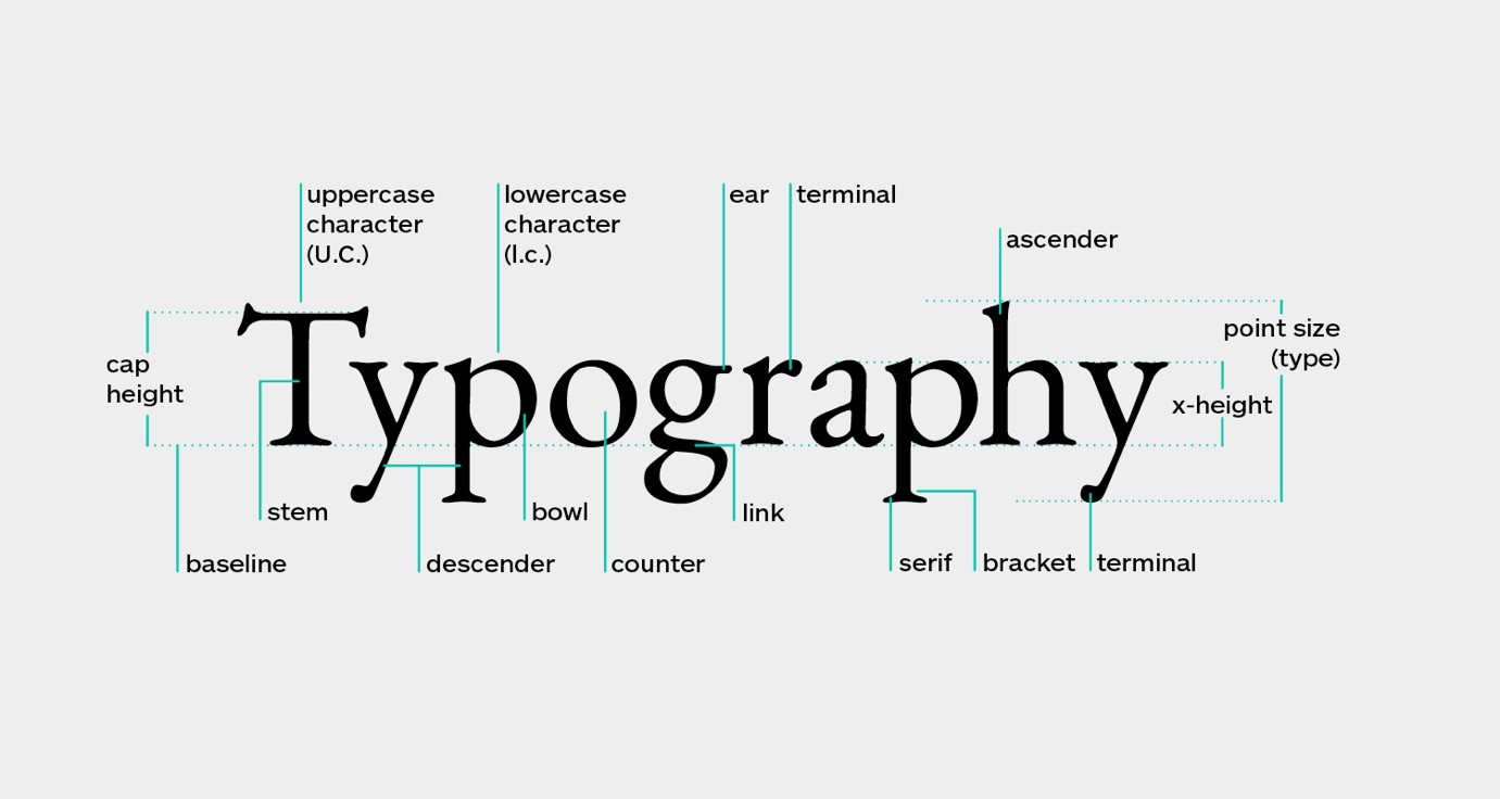 The word ‘Typography’ is labelled with various arrows highlighting key terminology used to describe typeface anatomy. Relevant terms will be introduced and defined throughout the blog.