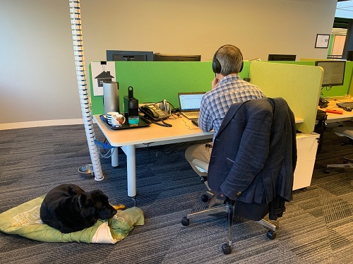 A VA staff member sits at his workstation with his Seeing Eye Dog next to him