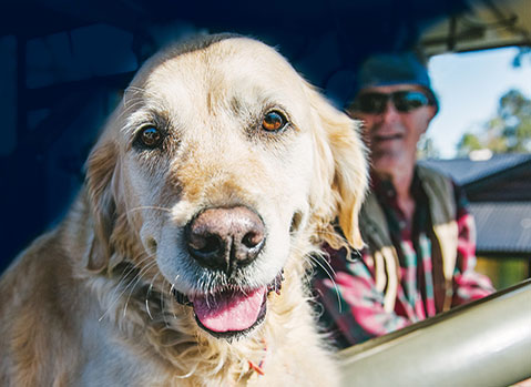 Seeing Eye Dog Zahra sitting in car seat and John in the background