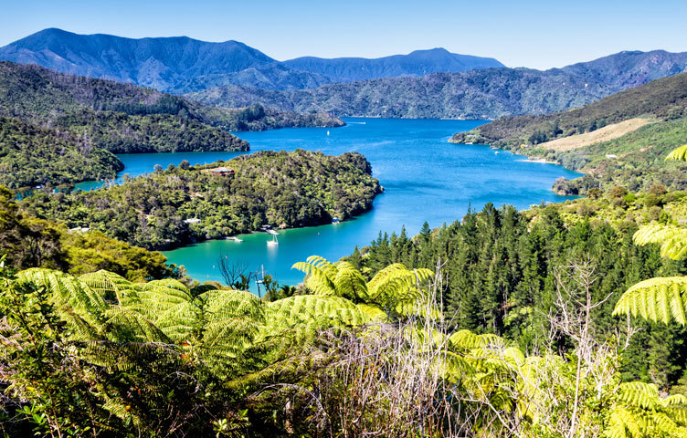 Image of surrounds of Queen Charlotte track