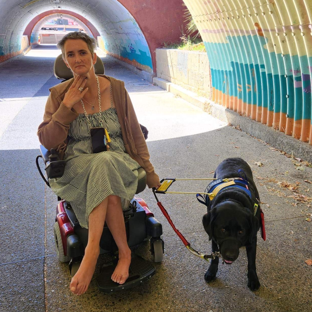 "Leeann in a tunnel in her wheelchair, next to her is her seeing eye dog Felix."