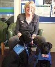 Jeni sitting down with two black Labradors at the SED offices in Kensington