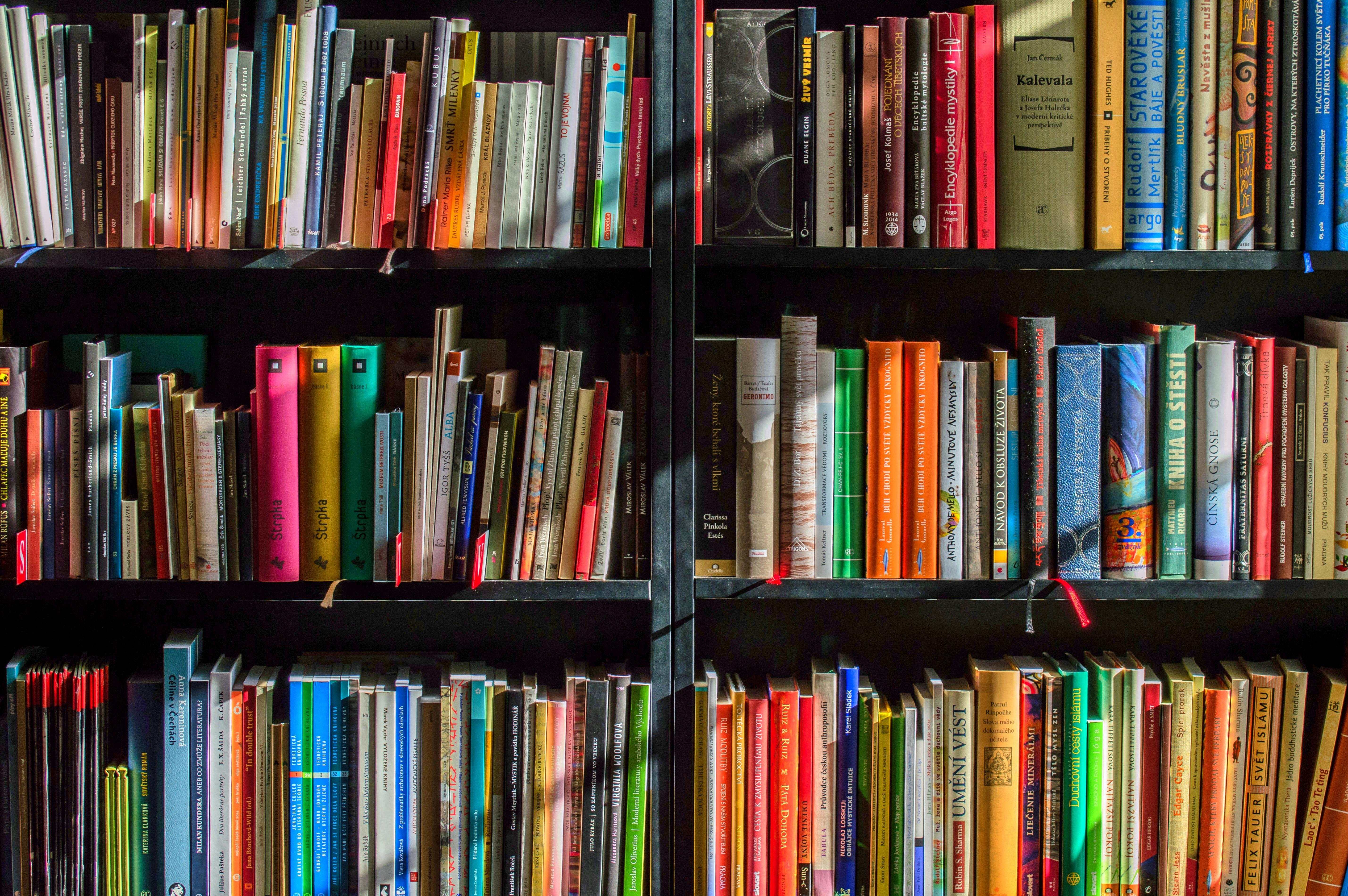 a packed bookshelf